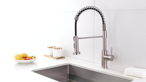 Lina Faucets - Contemporary Flexible Sink Faucet with Pull-Out Spring and Multiple Functions